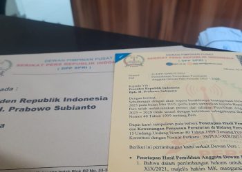 SPRI Surati Presiden Prabowo, Minta SK Presiden Tentang Dewan Pers Ditunda